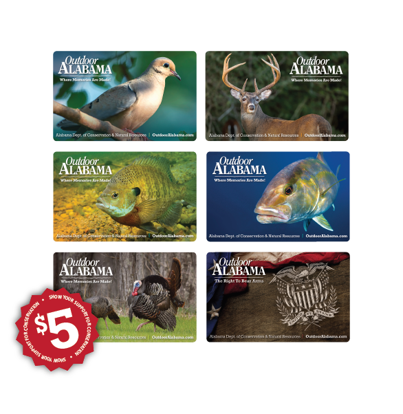 Alabama Collectible License Cards Outdoor Alabama